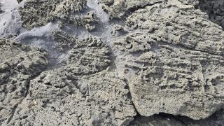 2024-11-GranCan-Playa_de_El_Puertillo-040.jpg